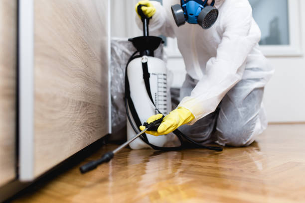 Best Emergency Pest Control  in Canterwood, WA