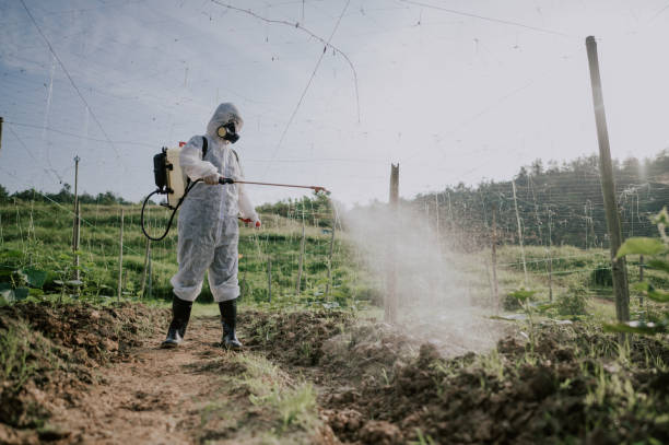 Best Pest Prevention Services  in Canterwood, WA