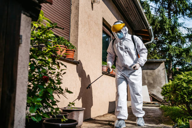 Best Affordable Exterminators  in Canterwood, WA