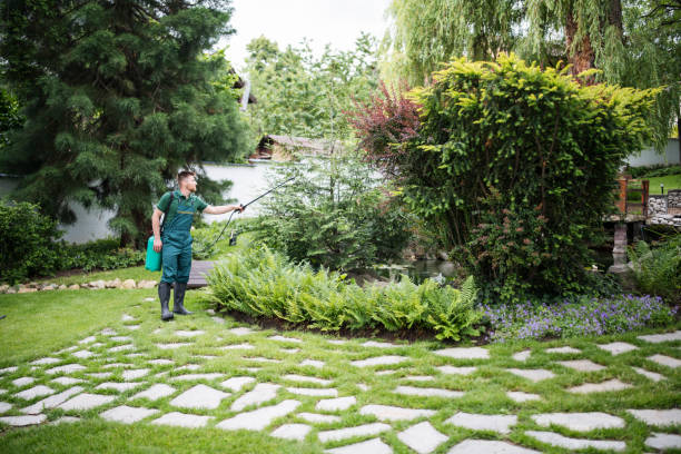 Best Affordable Pest Control Services  in Canterwood, WA