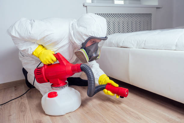 Pest Prevention Services in Canterwood, WA