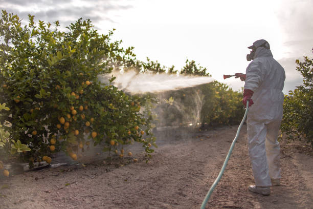 Best Wildlife Control Services  in Canterwood, WA