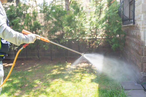 Best Pest Removal Services  in Canterwood, WA