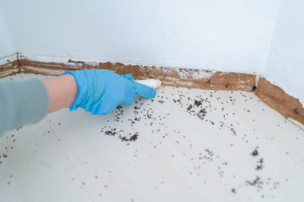 Best Residential Pest Control  in Canterwood, WA